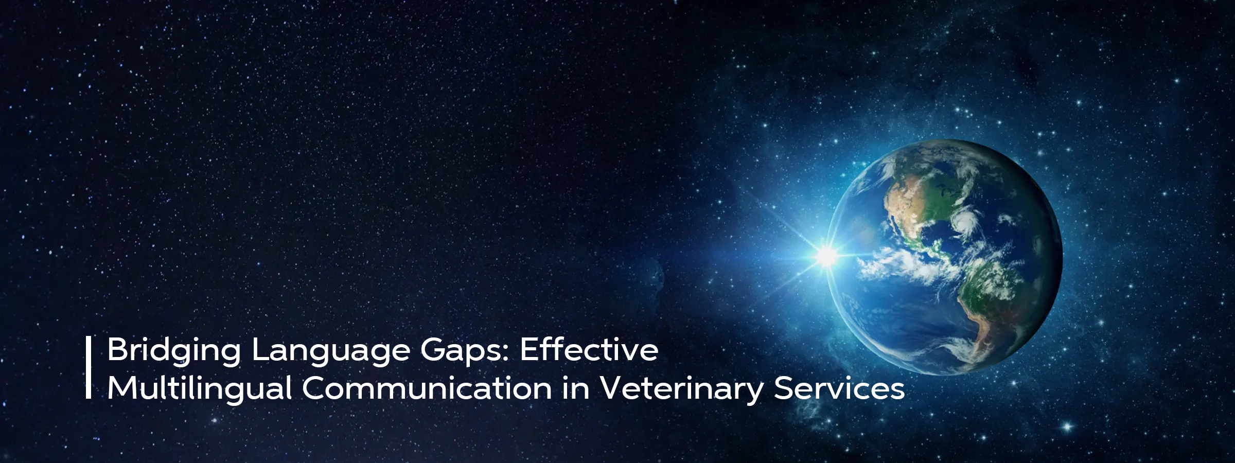 effective-multilingual-communication-in-veterinary-service-banner