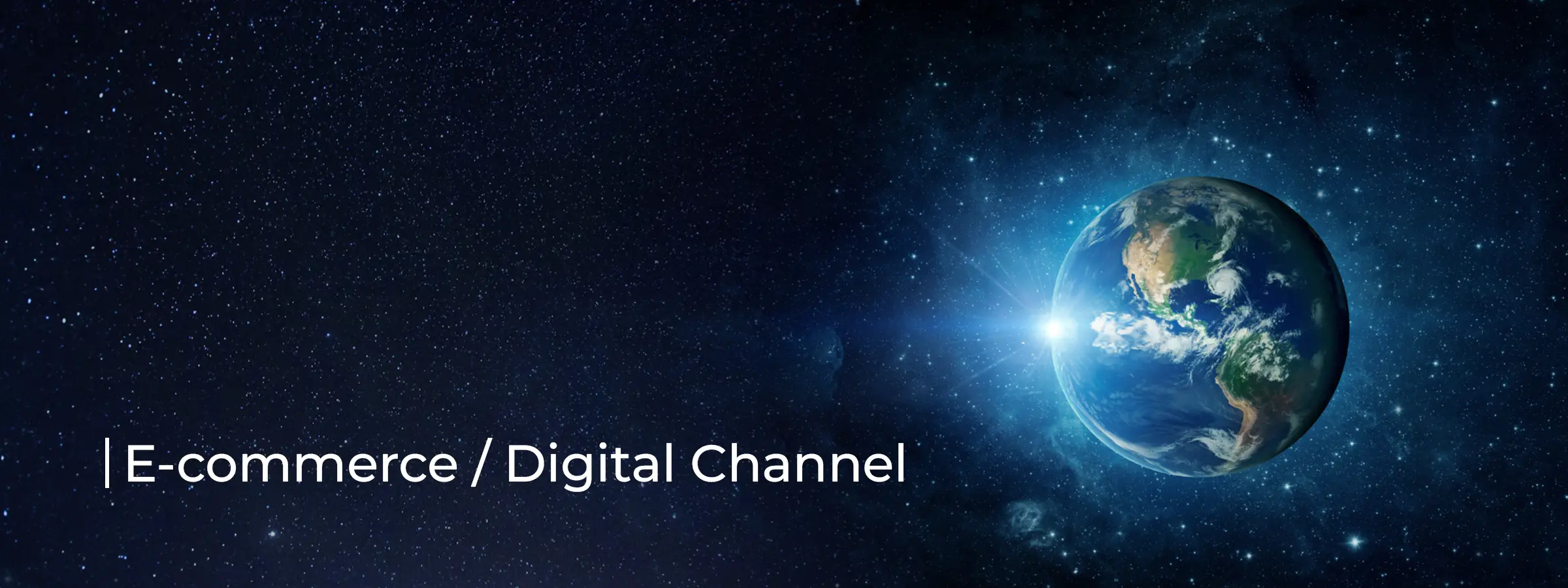 e-commerce-digital-channel-industry-banner